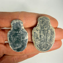 Load image into Gallery viewer, Asaphiscus wheeleri Utah Trilobite fossil 1 3/8" - 1 1/2"