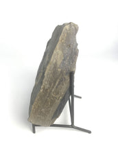 Load image into Gallery viewer, Utah West Desert Wheeler Shale prolific with Middle Cambrian Fossil Trilobites