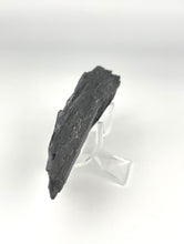 Load image into Gallery viewer, Utah West Desert Wheeler Shale prolific with Middle Cambrian Fossil Trilobites