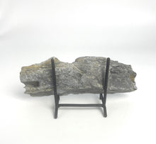 Load image into Gallery viewer, Utah West Desert Wheeler Shale prolific with Middle Cambrian Fossil Trilobites