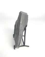 Load image into Gallery viewer, Utah West Desert Wheeler Shale prolific with Middle Cambrian Fossil Trilobites