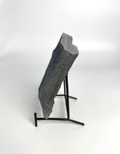 Load image into Gallery viewer, Utah West Desert Wheeler Shale prolific with Middle Cambrian Fossil Trilobites