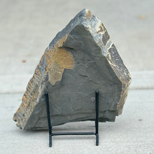 Load image into Gallery viewer, Large geological specimen on a stand against a neutral background