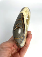 Load image into Gallery viewer, Utah Septarian geode composed of calcite, aragonite and limestone carved and polished into a stunning buffalo