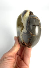 Load image into Gallery viewer, Utah Septarian geode composed of calcite, aragonite and limestone carved and polished into a stunning buffalo