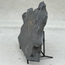 Load image into Gallery viewer, Side view of Cambrian shale containing choia sponge spicules on a stand against a light background