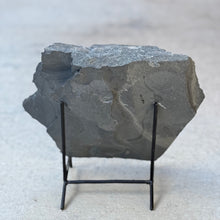 Load image into Gallery viewer, Large gray shale stone on a black stand against a light gray background