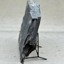 Load image into Gallery viewer, Cambrian shale side view on black metal stand