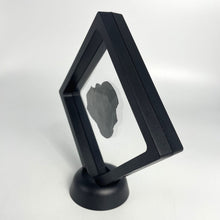 Load image into Gallery viewer, Trilobite fossil in black plastic frame
