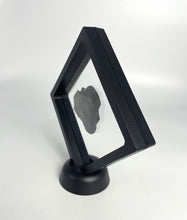 Load image into Gallery viewer, Large 1 7/8" Asaphiscus wheeleri Fossil Trilobite with Pyritic Crystal Inclusion