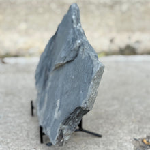 Load image into Gallery viewer, Large gray shale rock on a stand against a blurred background