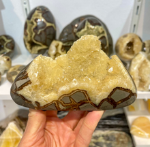 Load image into Gallery viewer, Crystals inside polished septarian free form