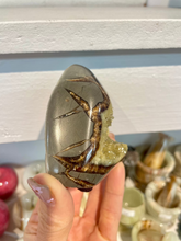 Load image into Gallery viewer, Septarian shaped and polished free form