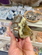 Load image into Gallery viewer, Septarian shaped and polished with crystal interior cavity