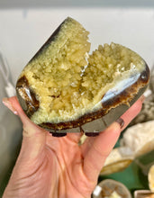 Load image into Gallery viewer, Septarian crystal free form standup