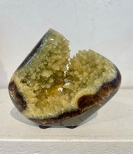 Load image into Gallery viewer, Septarian crystal free form standup