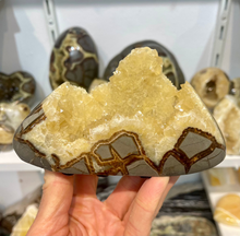 Load image into Gallery viewer, Crystal filled polished Septarian free form