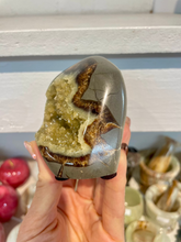 Load image into Gallery viewer, Septarian shaped and polished with crystal interior cavity