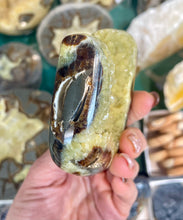 Load image into Gallery viewer, Septarian crystal free form standup