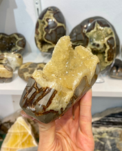 Load image into Gallery viewer, Septarian crystals