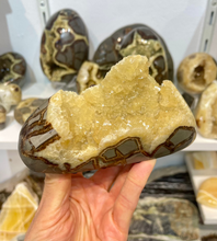 Load image into Gallery viewer, Septarian crystals in polished freeform