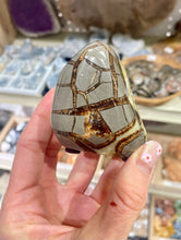 Load image into Gallery viewer, Septarian shaped and polished