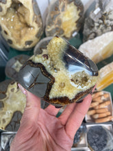 Load image into Gallery viewer, Septarian crystal free form standup