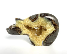 Load image into Gallery viewer, Septarian geode carved and polished into a long neck bear with beautiful calcite crystals in the center