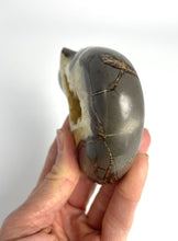 Load image into Gallery viewer, Septarian geode carved and polished into a long neck bear