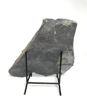 Load image into Gallery viewer, wheeler shale, house range, millard county Utah