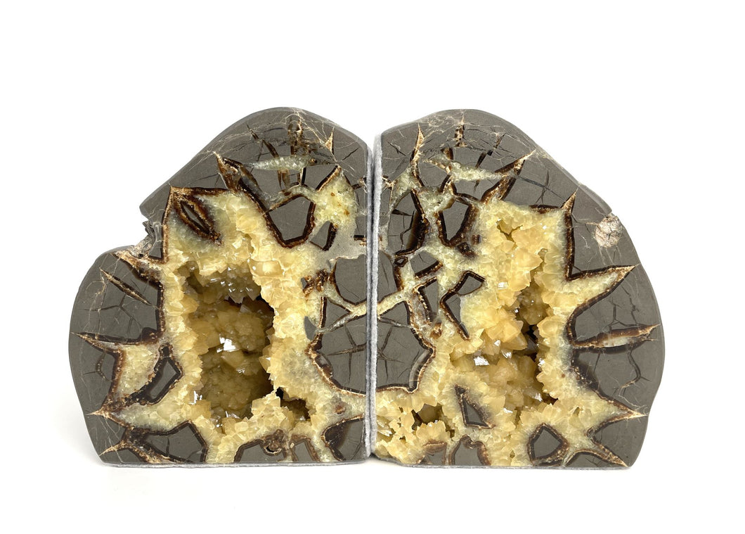 Septarian Bookend with Calcite Crystal Hollow Beautiful Geo Decor