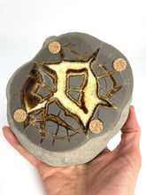 Load image into Gallery viewer, Septarian nodule hand carved and polished into a stunning geo decor bowl