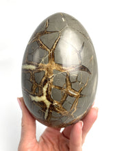 Load image into Gallery viewer, Huge Crystal Cavity in this Septarian Egg 5"