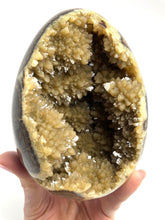 Load image into Gallery viewer, Huge Crystal Cavity in this Septarian Egg 5"