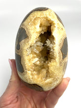 Load image into Gallery viewer, Septarian Nodule shaped into an Egg with rare barite crystal inside