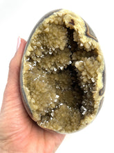 Load image into Gallery viewer, Huge Crystal Cavity in this Septarian Egg 5&quot;
