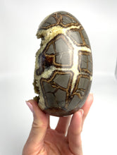 Load image into Gallery viewer, Huge Crystal Cavity in this Septarian Egg 5&quot;
