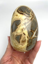 Load image into Gallery viewer, Septarian Nodule shaped into an Egg with rare barite crystal inside