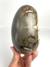 Load image into Gallery viewer, Huge Crystal Cavity in this Septarian Egg 5"