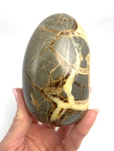 Load image into Gallery viewer, Septarian Nodule shaped into an Egg with rare barite crystal inside