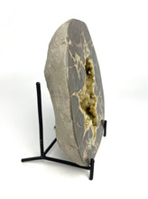 Load image into Gallery viewer, Stunning Septarian Half with visible Fossil remnant