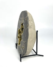 Load image into Gallery viewer, Stunning Septarian Half with visible Fossil remnant