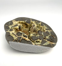 Load image into Gallery viewer, Septarian Standup with eye catching unique and varied Calcite Crystal Hollow