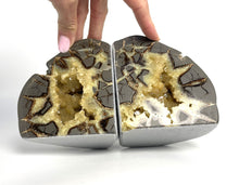Load image into Gallery viewer, Septarian Bookend with beautiful Calcite Crystal hollow and Fossil Imprints