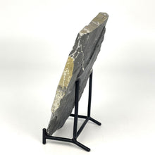 Load image into Gallery viewer, Utah West Desert Wheeler Shale with middle cambrian trilobite