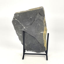 Load image into Gallery viewer, Utah West Desert Wheeler Shale with middle cambrian trilobite