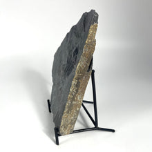 Load image into Gallery viewer, Large Asaphiscus wheeleri 1 7/8" complete trilobite Wheeler shale Marjum formation Utah