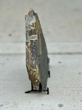 Load image into Gallery viewer, Side view of Cambrian shale rock on a black metal stand with a light background
