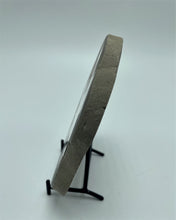 Load image into Gallery viewer, slice of a septarian nodule