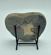 Load image into Gallery viewer, unpolished backside of a Utah septarian slab